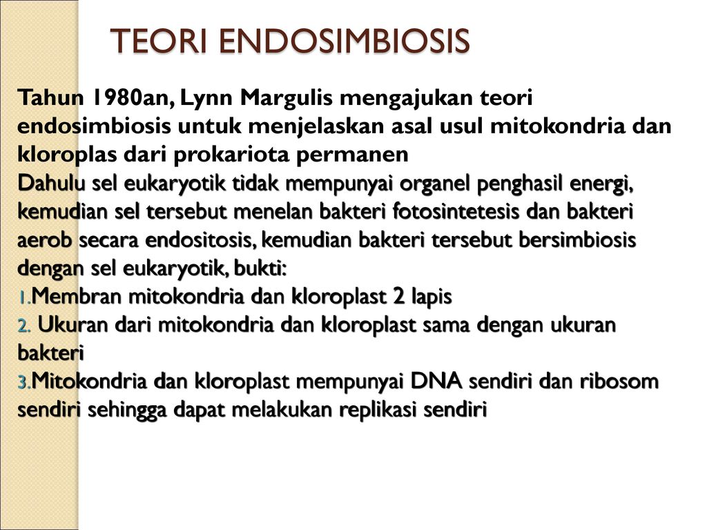 Teori Endosimbiosis Tahun An Lynn Margulis Mengajukan Teori